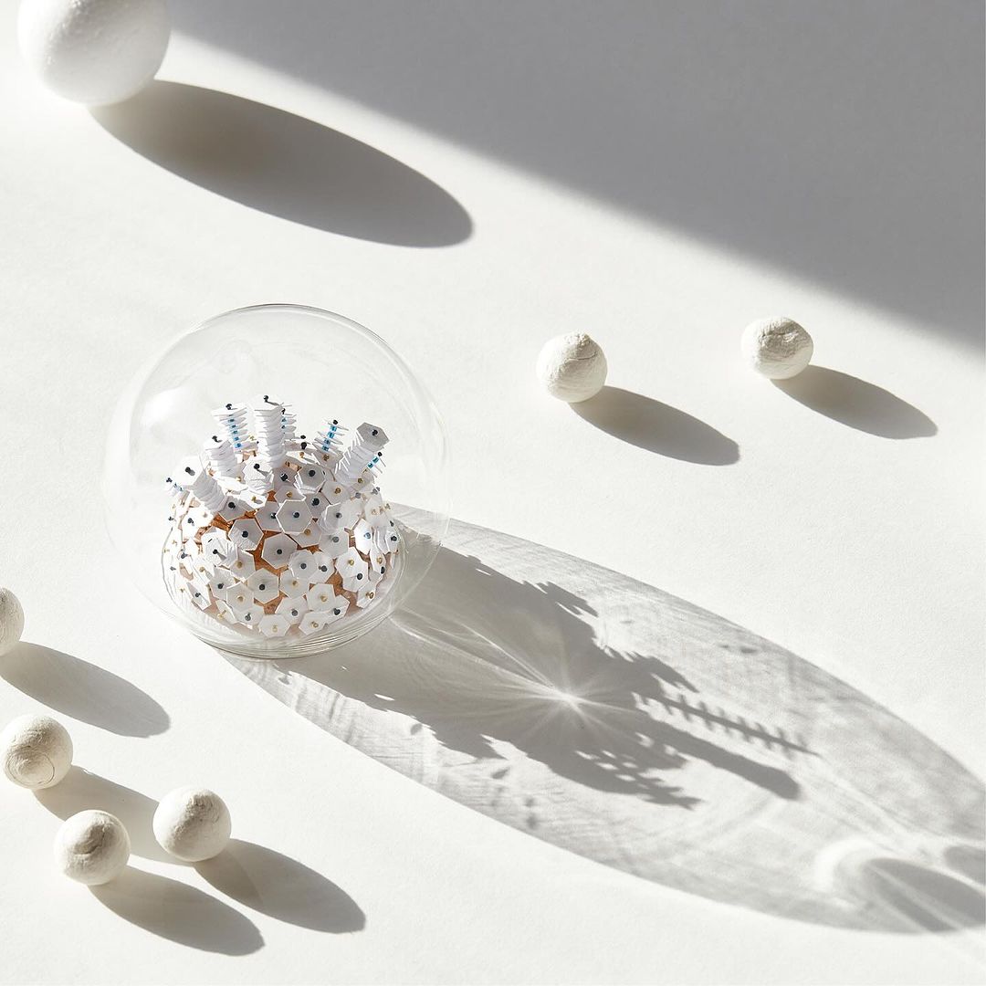 Conceptual art: A translucent glass dome encases a floral-like arrangement on a white surface, alongside scattered white spheres, and stark shadows.