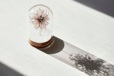 Delicate white and red paper sculpture enclosed in a clear glass dome on a cork base, casting a long shadow on a white surface.