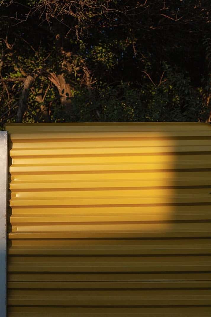 Yellow corrugated metal wall partially lit by sunlight, with green foliage and tree branches in the background.