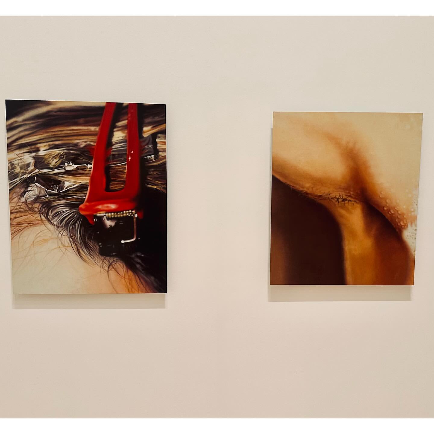 Two framed paintings hang on a white wall: one with hair and a red clip, the other abstract with brown and beige colors.