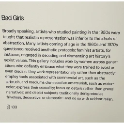 Explanatory wall text titled Bad Girls discussing feminist art history and representation against an off-white wall
