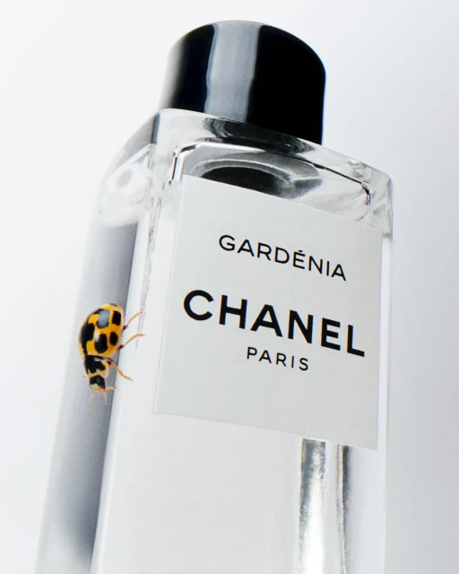 Close-up shot of a yellow ladybug crawling on a clear glass Chanel Gardenia perfume bottle against a white backdrop.