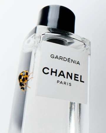 Close-up shot of a yellow ladybug crawling on a clear glass Chanel Gardenia perfume bottle against a white backdrop.