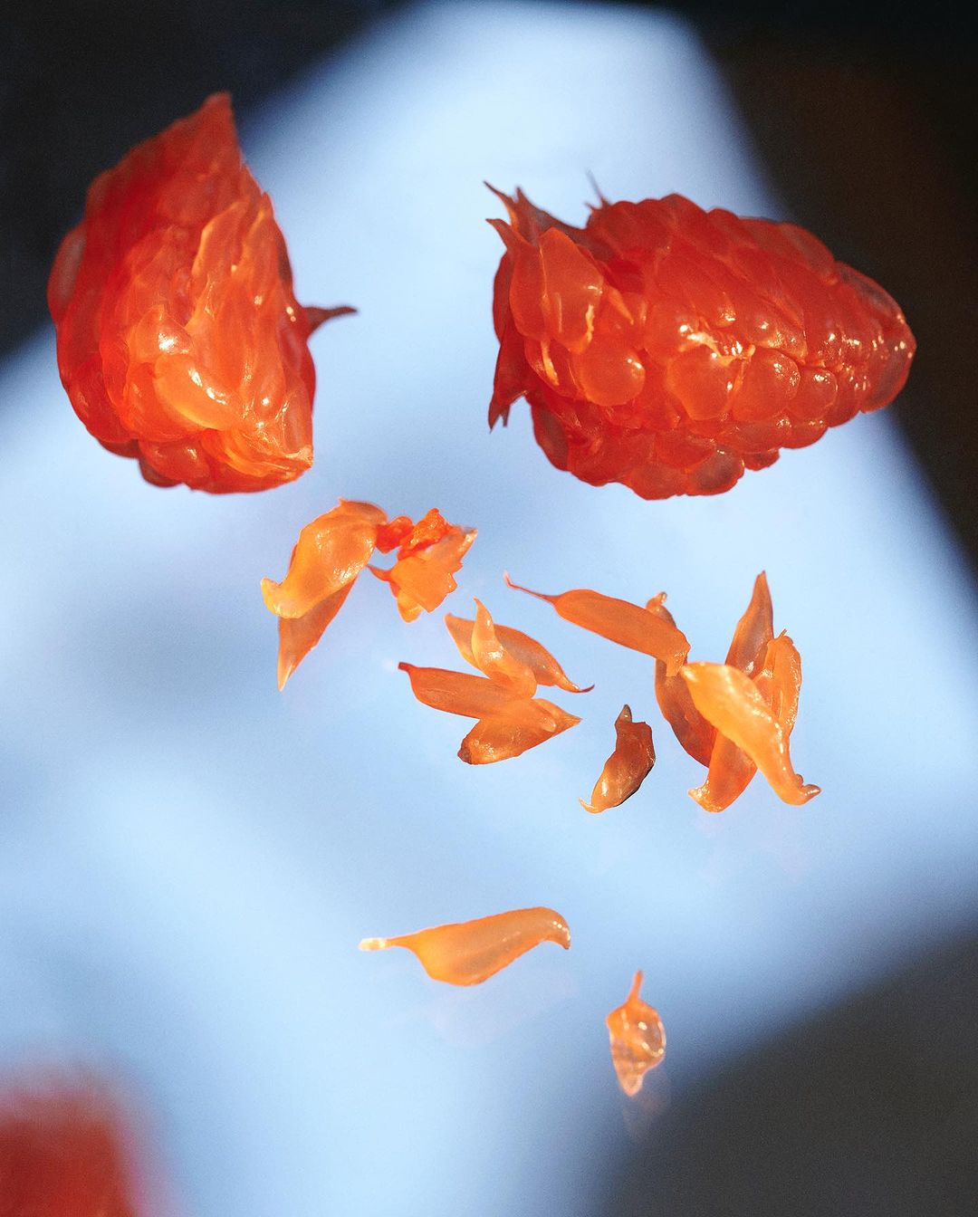 Still life of grapefruit segments and pulps against a blue and dark background with soft lighting, creating a visually appealing composition.
