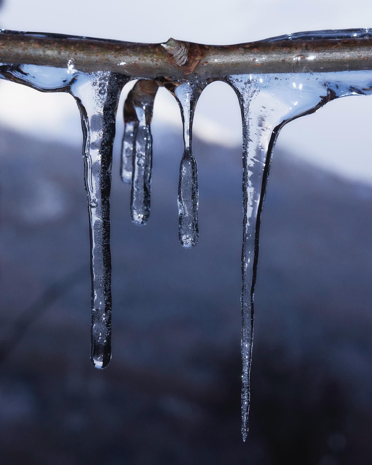 Close-up of icicles hanging from a branch, reflecting light, with a blurred background of cool-toned shades and soft gradients.