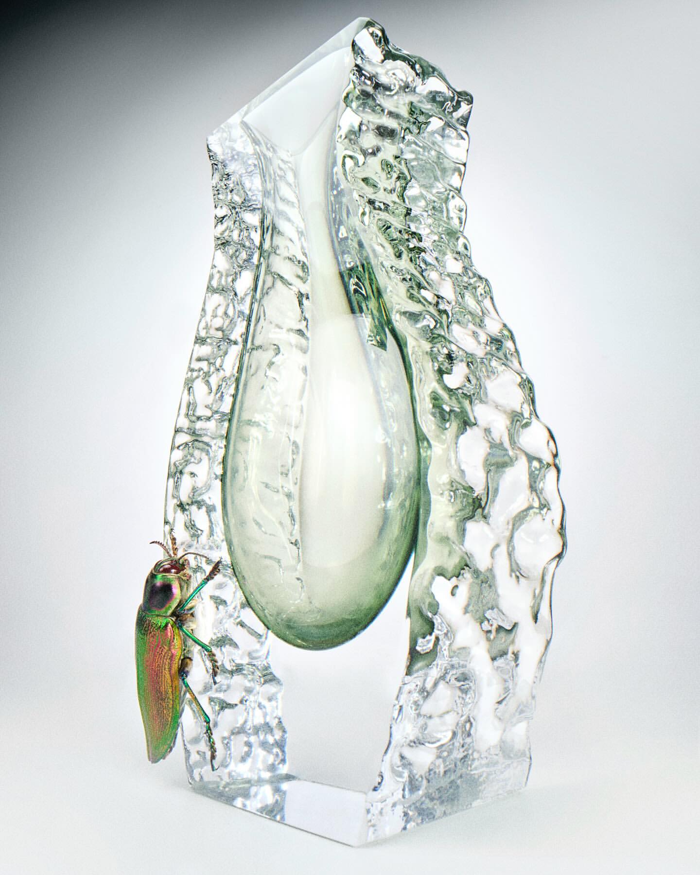 Iridescent jewel beetle on clear art glass sculpture against soft white background with studio lighting. Visual focus on sculpture textures.