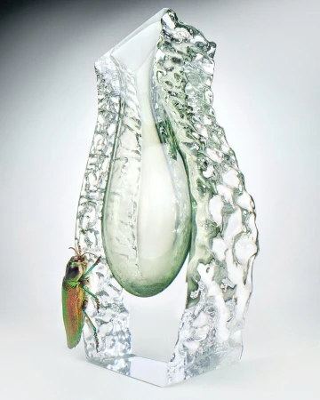 Iridescent jewel beetle on clear art glass sculpture against soft white background with studio lighting. Visual focus on sculpture textures.