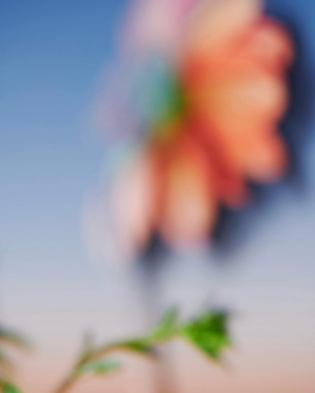 Close-up of out-of-focus flower bloom in shades of orange and pink against a gradient blue sky, with a small green stem in the foreground.