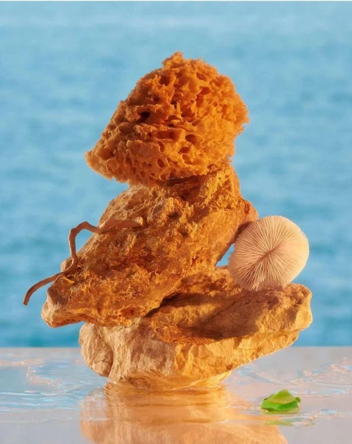 Abstract studio shot of a sea sponge atop rocks against a blue background with reflection and a piece of sea glass in the foreground.
