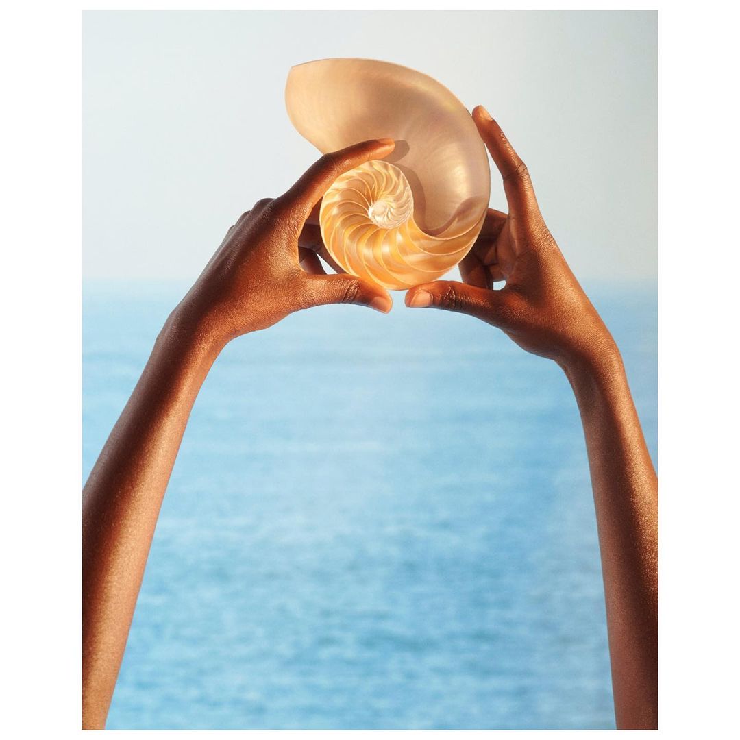 Golden nautilus shell is displayed by a person with arms raised in an ocean-side photo studio. Warm, soft light illuminates the scene.