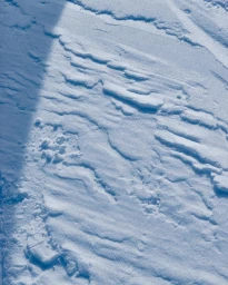 Textured white and blue snowfield surface with natural wind-swept ridges and shadows captured in Paris by Marion Maimon.