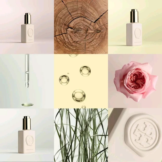 Botanical beauty product still life: serum bottle, pipette, plant stems, rose, and wood grain, set against soft pastel backgrounds.