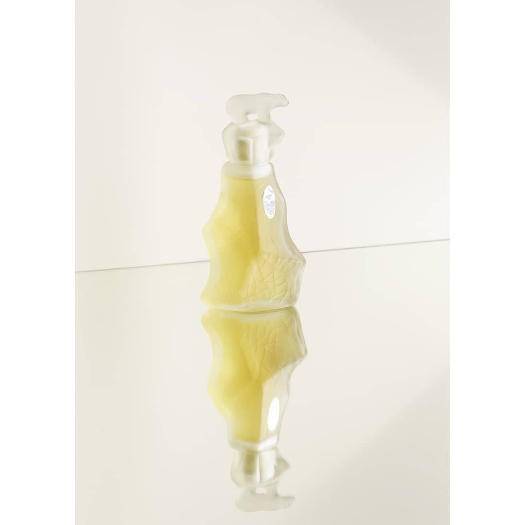 Elegant studio shot of a transparent bottle with a white dispenser pump, showcasing its reflection on a glossy surface.