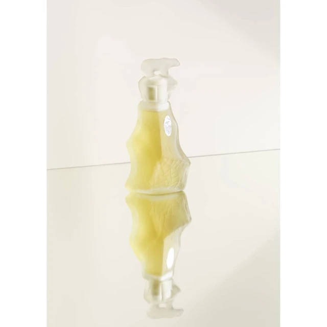 Elegant studio shot of a transparent bottle with a white dispenser pump, showcasing its reflection on a glossy surface.