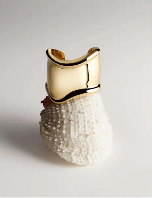 Close-up of a gold bracelet on a textured white sea urchin against a white backdrop, jewelry display, studio lighting.