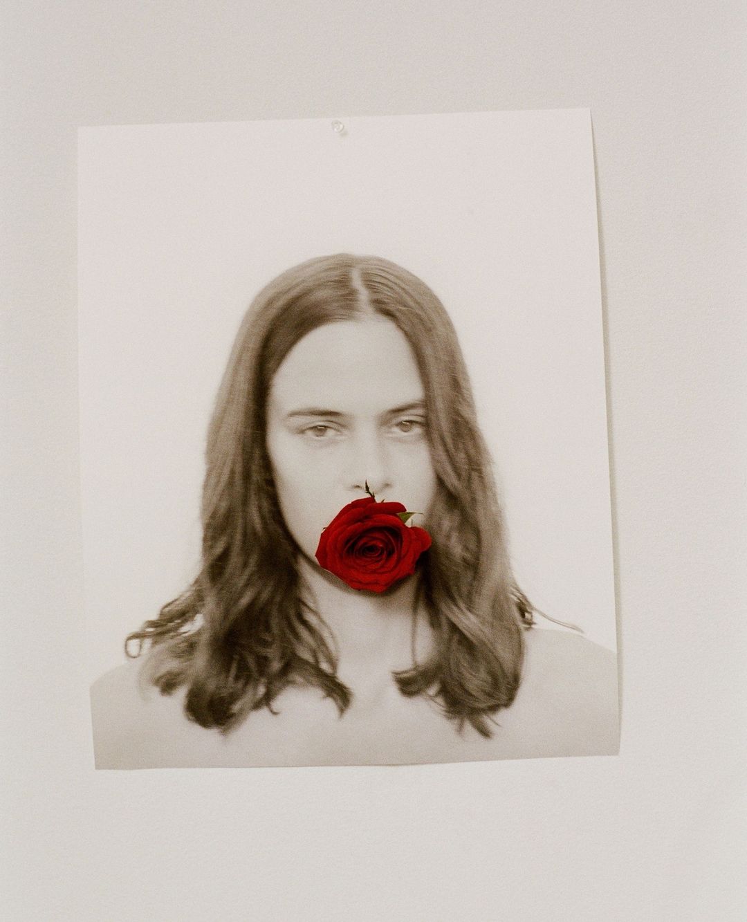 Portrait of an adult with long hair, gazing directly forward with a red rose held in their mouth, captured in a photograph.