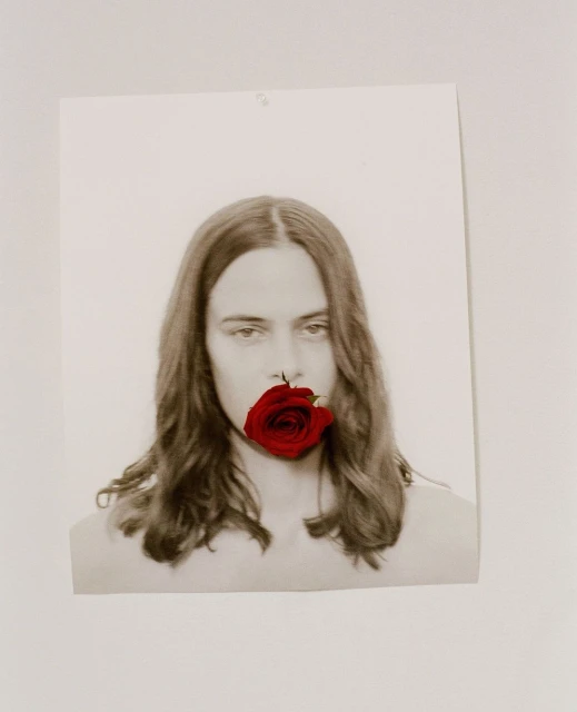 Portrait of an adult with long hair, gazing directly forward with a red rose held in their mouth, captured in a photograph.