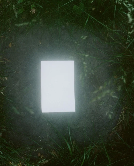 Clean white rectangle on a forest floor amid green grass and leaves, creating a striking contrast in a natural outdoor setting.