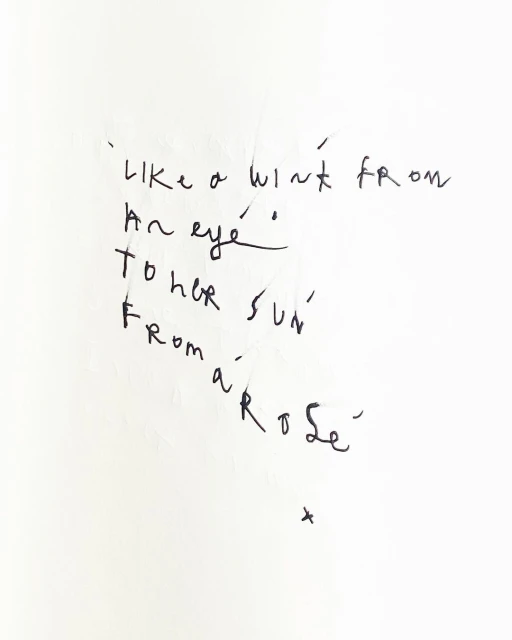 Handwritten verse on white paper featuring cursive script in black ink. The text is centered and reads 'Like a wink from an eye'.