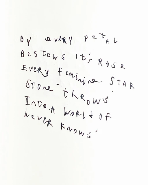 Close-up of handwritten poem on white background. Black ink script spells out verses with artistic imperfections and character.