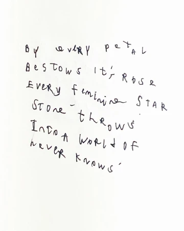 Close-up of handwritten poem on white background. Black ink script spells out verses with artistic imperfections and character.