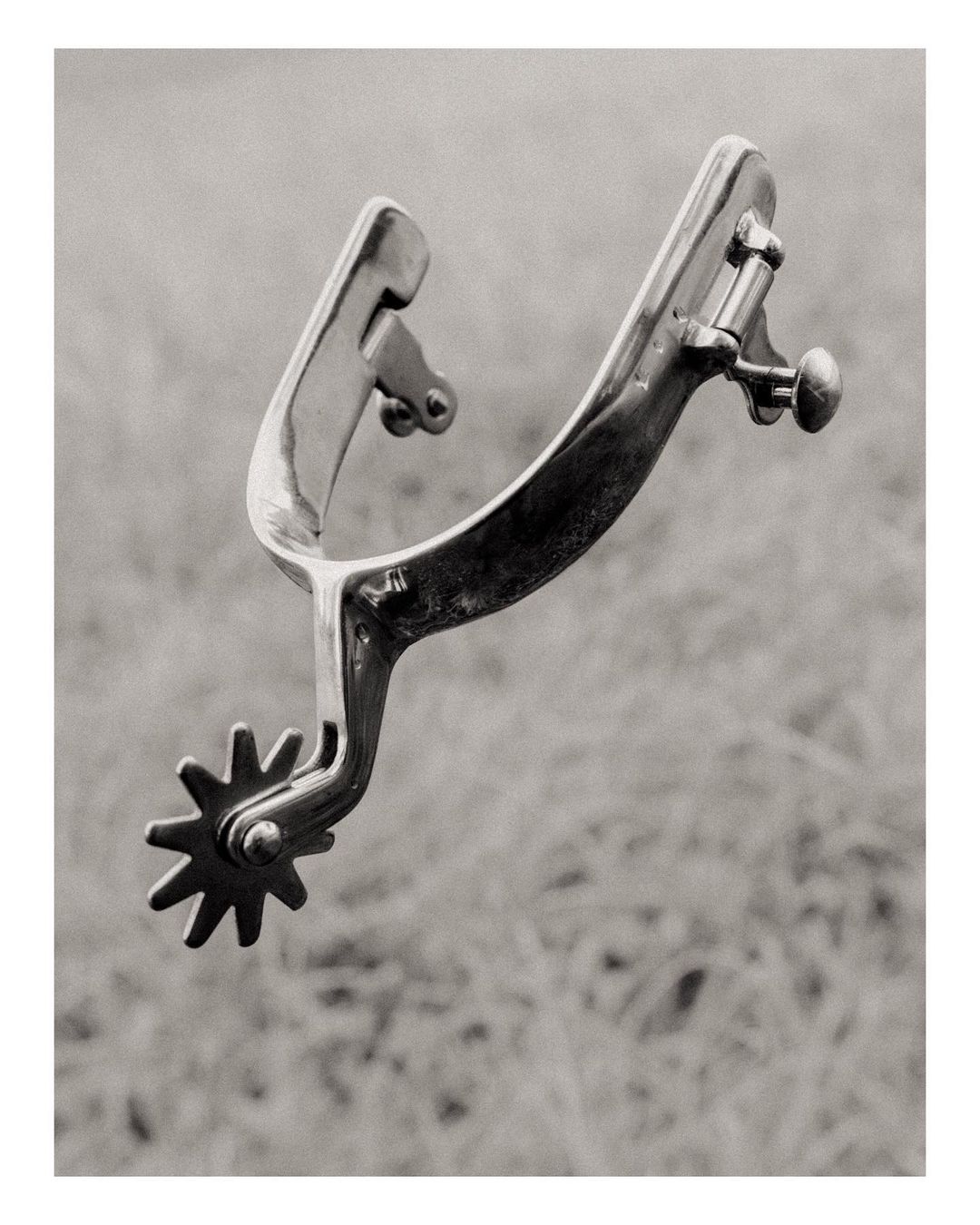 Close-up of a shiny, ornate metal Western-style spur against a soft-focus outdoor background featuring grassy, natural tones.