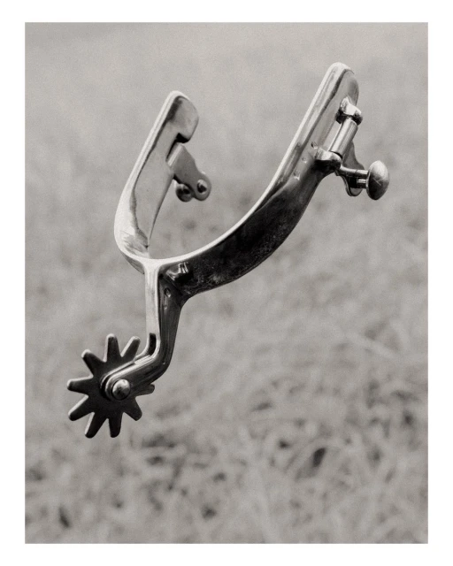 Close-up of a shiny, ornate metal Western-style spur against a soft-focus outdoor background featuring grassy, natural tones.