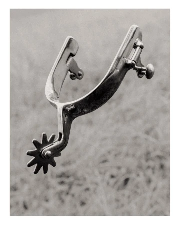 Close-up of a shiny, ornate metal Western-style spur against a soft-focus outdoor background featuring grassy, natural tones.