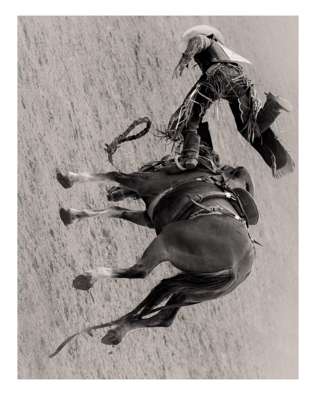 Monochrome image of a rodeo cowboy riding a bucking bronco in an arena; action shot captures the dust and energy of the sport.