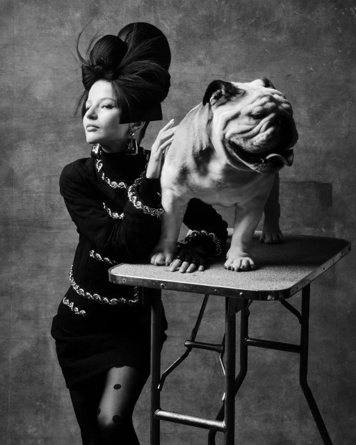 Black and white portrait of a fashionably dressed woman posing with an English bulldog standing on a folding table.