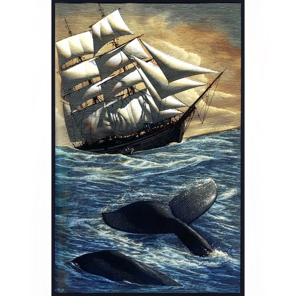 Whale illustration with sailboat, ocean waves, and illustrated clouds and sky for oceanic adventures or wildlife themes.