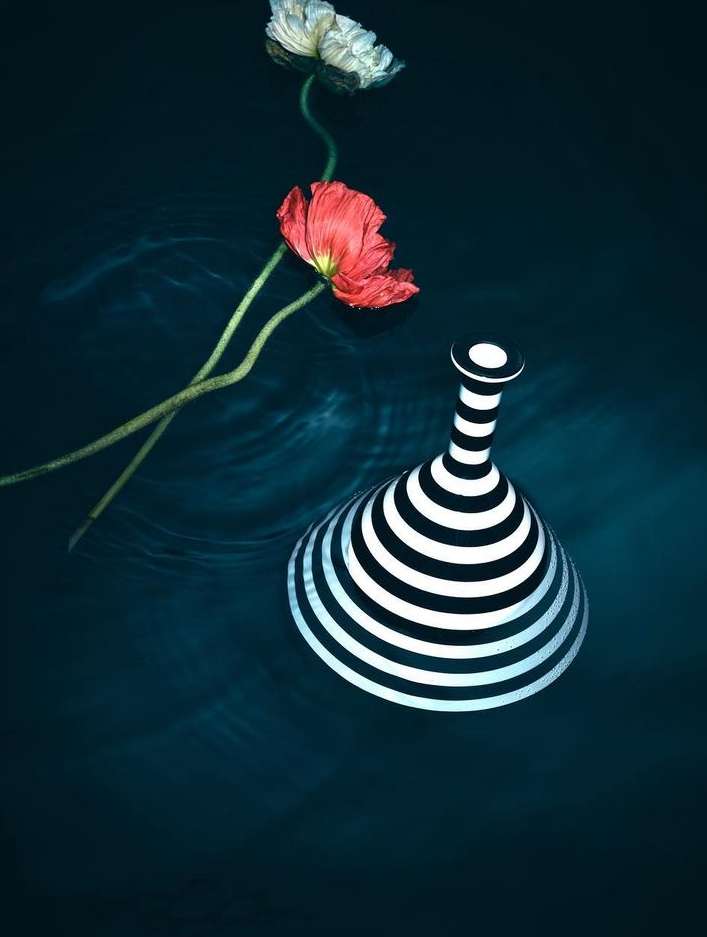 Still life featuring a black and white striped vase and two delicate poppy flowers, set against a dark blue rippled background.