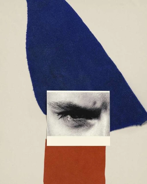 Abstract collage featuring an eye photograph over blue and red fabric, against a neutral backdrop.