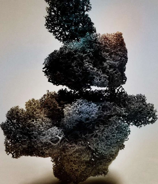 Abstract organic form of interwoven lichen, resembling plant life, against a gradient background of gray, blue, brown, and white.