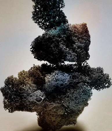 Abstract organic form of interwoven lichen, resembling plant life, against a gradient background of gray, blue, brown, and white.