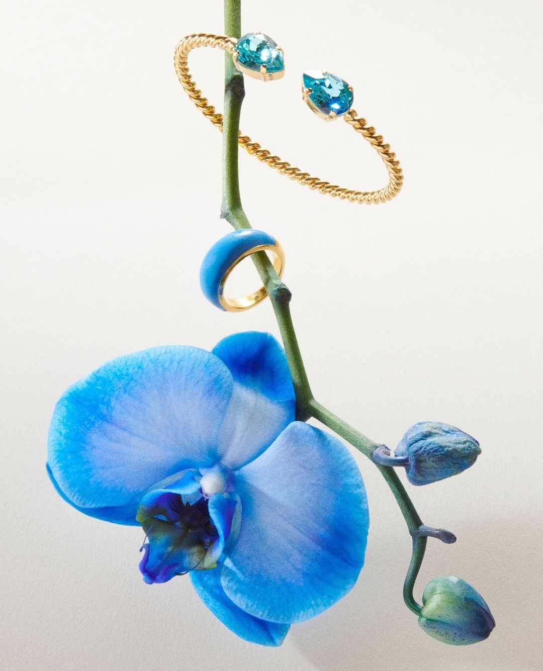 Close-up of a gold cuff bracelet, a gold ring, and an orchid with bright blue petals against a clean white background.