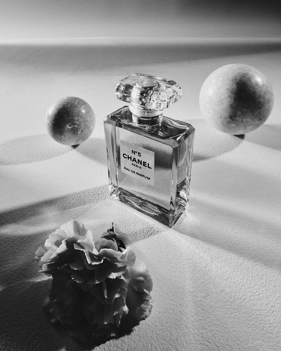 Chanel No. 5 perfume bottle in a black and white still life, featuring a flower, two spheres, and soft lighting on a textured surface.