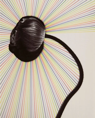 Martin Vallin
