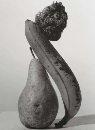 Martin Vallin