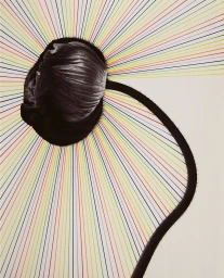 Close-up of a dark poppy head with radiating multi-colored thread lines emanating behind it by photographer Martin Vallin.