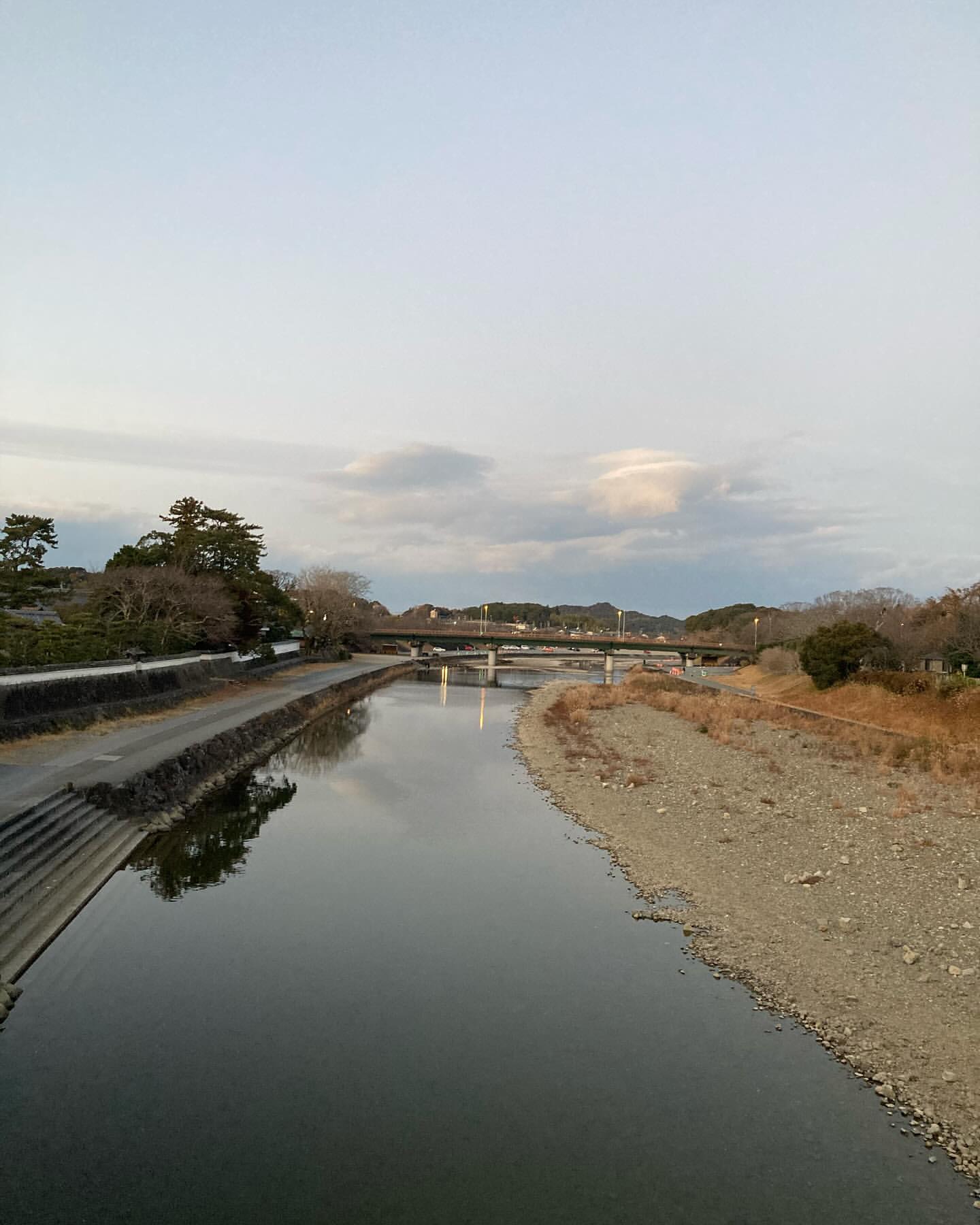 Scenic view of a river flowing under bridges with trees lining the banks under a cloudy sky, reflecting serene natural beauty.
