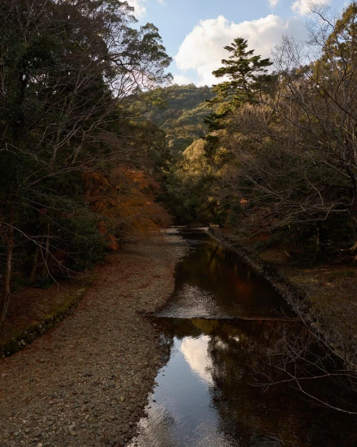 Scenic view of a stream flowing through a forest with trees and vegetation under a partly cloudy sky, creating a serene nature scene.