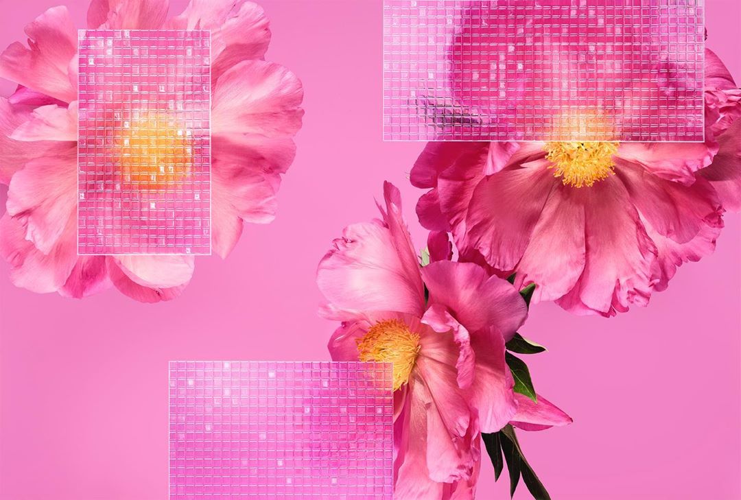 Pink floral still life featuring pink peony flowers with a digital grid overlay on a matching pink solid background, creating a modern aesthetic.