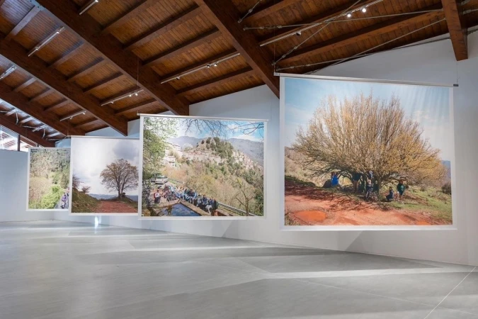 Gallery display of nature photographs hanging in a bright, modern space with a high wood-beam ceiling and smooth concrete floor.