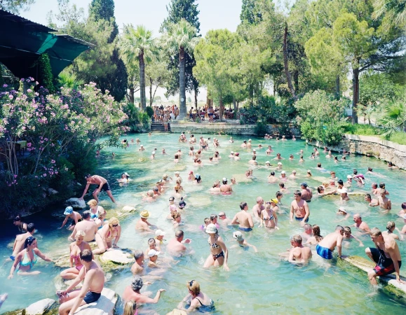 Many people swimming and wading in a thermal pool outdoors with palm trees and green foliage, bathed in sunny daylight.