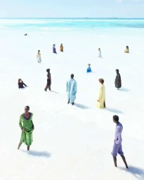 High-angle view of diverse people scattered wading in bright turquoise shallow water under a clear blue sky by Massimo Vitali.