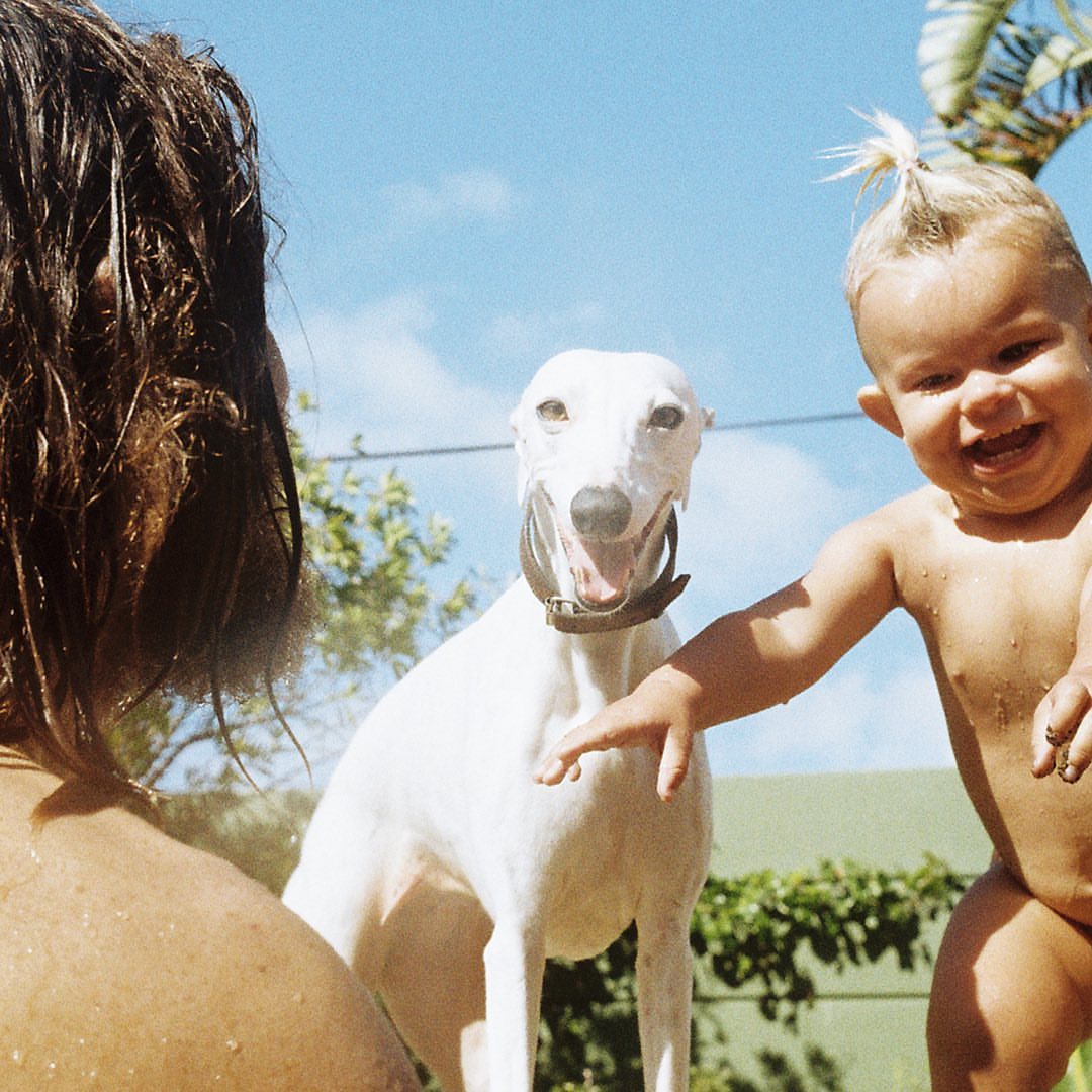 Smiling toddler near a white dog, with a man and tropical plants in an outdoor scene under a blue sky. Happy baby and canine.
