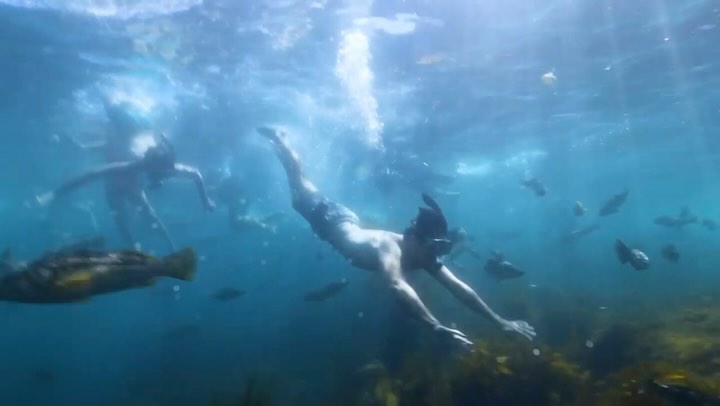 Underwater view of a man snorkeling and swimming among fish in the ocean, surrounded by clear blue water and rocks at the bottom.