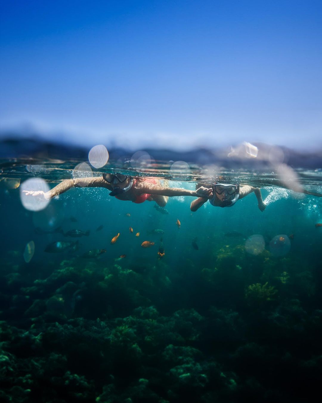 Two people snorkeling in clear blue water above a vibrant coral reef teeming with colorful fish, captured from an underwater perspective.