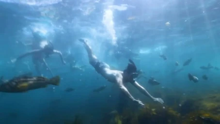 Man freediving underwater surrounded by fish in clear blue water captured by Mathieu Young